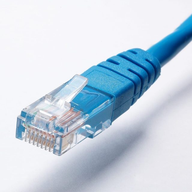 Blauer Ethernet-Stecker